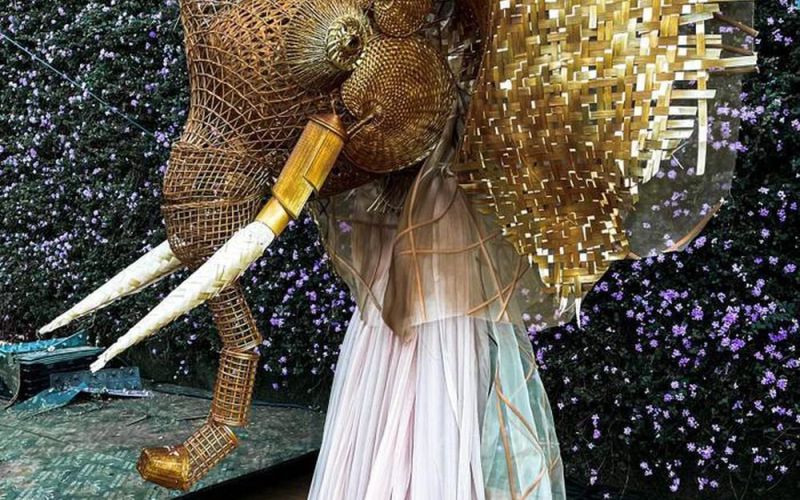 2 bộ National Costume tỏa sáng trên sân nhà: Hoàng Phương và Lan Anh đều đỉnh của chóp