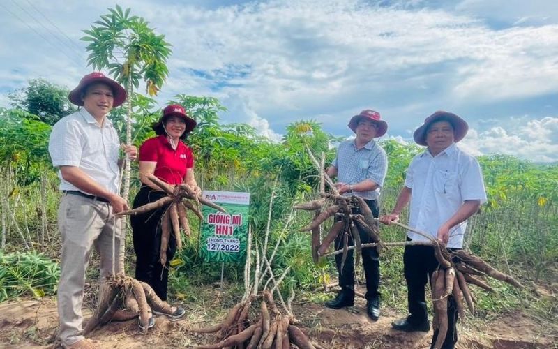 Ayun Pa nỗ lực hoàn thành các mục tiêu trong nhiệm kỳ 2020-2025