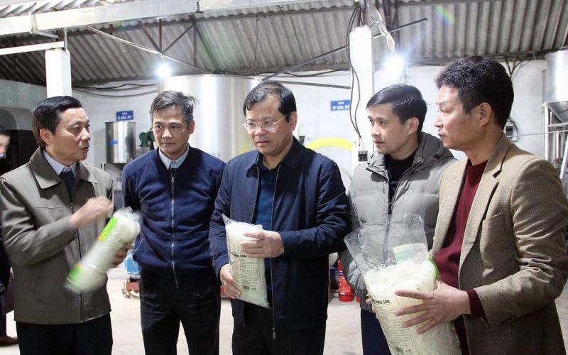 Bắc Giang: Đánh giá cao hiệu quả sản xuất kinh doanh của 2 Hợp tác xã huyện Tân Yên
