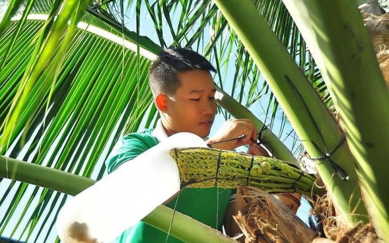 Bài 2: Chuyện lạ đời của vợ chồng 'Ngãi mật hoa dừa'