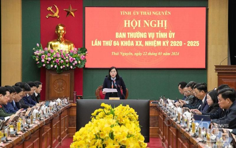 Ban Thường vụ, Ban Chấp hành Đảng bộ tỉnh cho ý kiến vào nhiều nội dung quan trọng