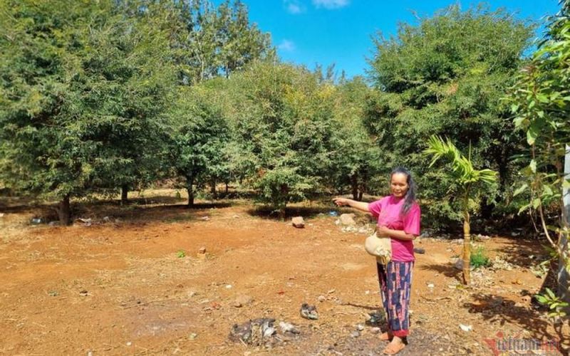 Bản tin kinh tế 27/1: 207.000 tỷ trái phiếu đáo hạn; vay làm đường dây 500kV