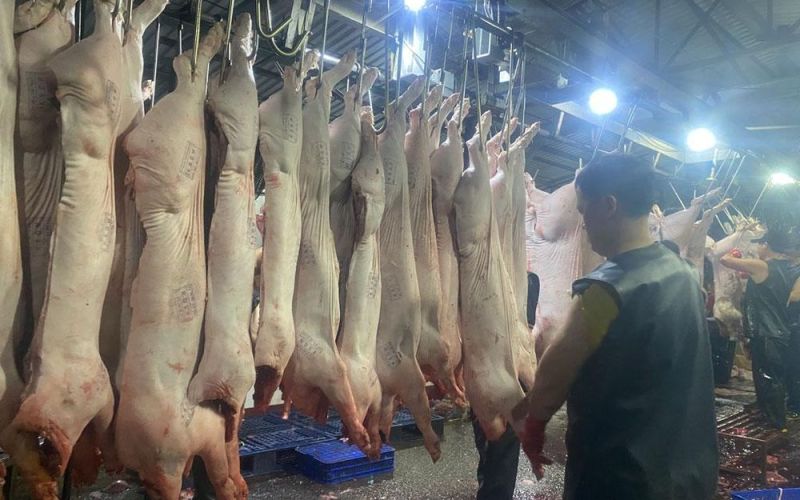 Bảo đảm an toàn thực phẩm dịp tết