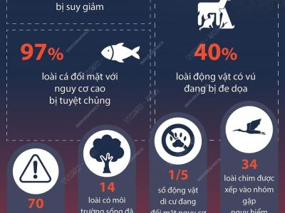 Báo động nguy cơ đối với các loài di cư trên toàn cầu