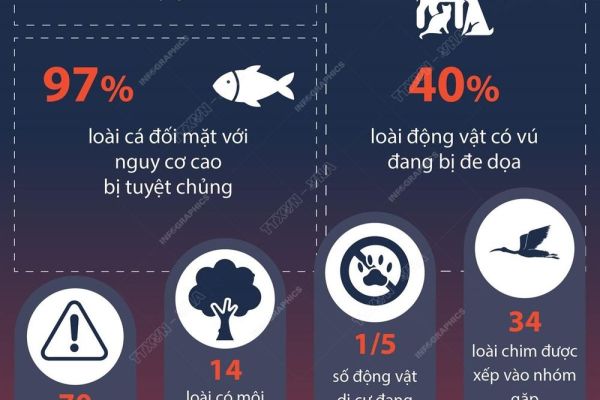 Báo động nguy cơ đối với các loài di cư trên toàn cầu