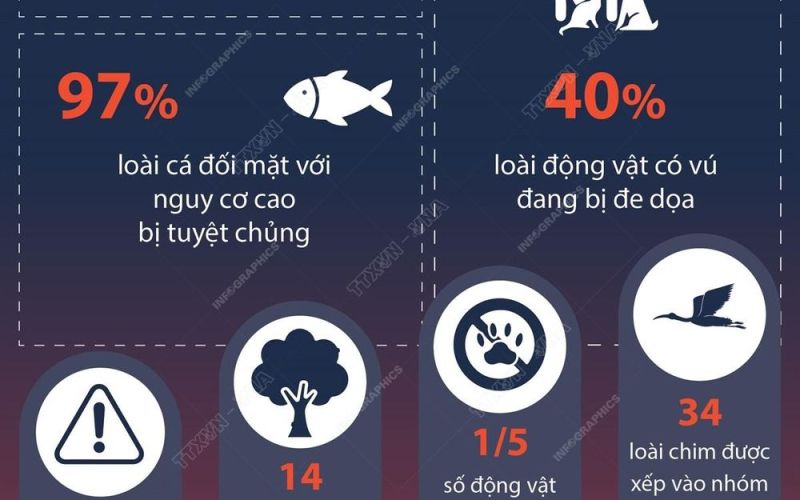 Báo động nguy cơ đối với các loài di cư trên toàn cầu
