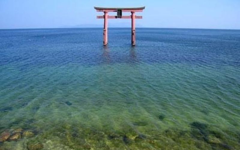 Biểu tượng cam kết môi trường lành mạnh và bền vững