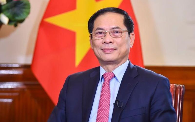 Bộ trưởng Ngoại giao: 3 trọng tâm để phát huy 'ngoại giao cây tre Việt Nam'