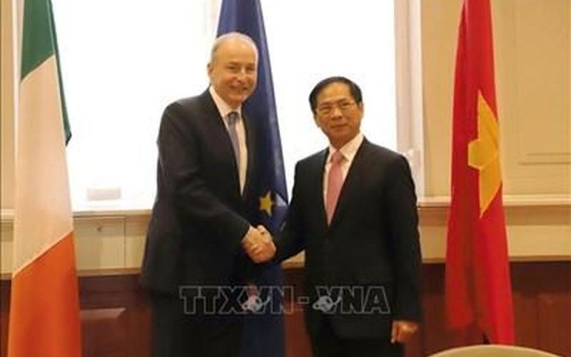 Bộ trưởng Ngoại giao Bùi Thanh Sơn hội đàm với Phó thủ tướng, Bộ trưởng Ngoại giao và Quốc phòng Ireland Micheál Martin