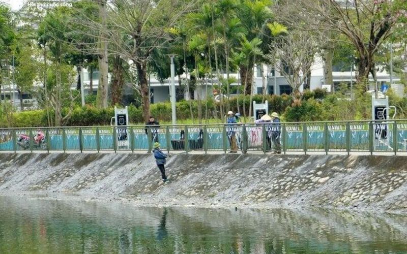 Cá chết hàng loạt trong công viên ở Hà Nội, con sống sót dính 'chất lạ' màu đen