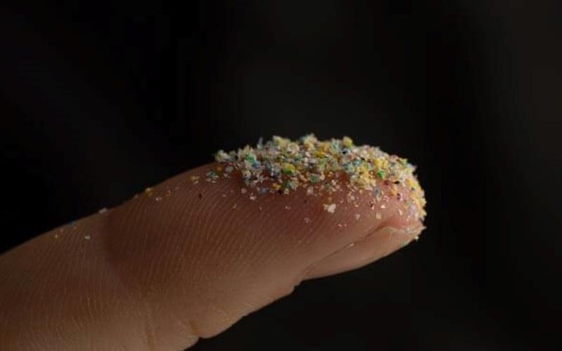 Các nhà lập pháp EU xem xét luật ô nhiễm nhựa mạnh mẽ hơn