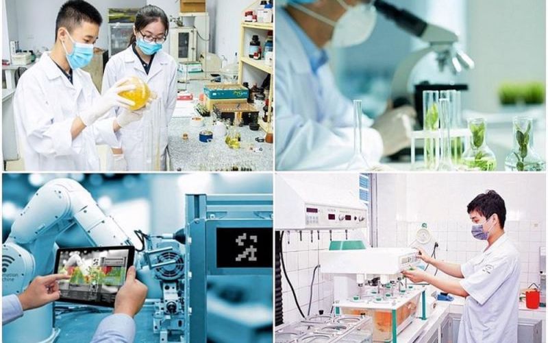 Các tiêu chuẩn trong xét tặng Giải thưởng Hồ Chí Minh về Khoa học công nghệ