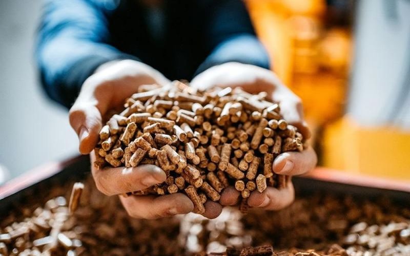 Cấp giấy phép môi trường cho nhà máy sản xuất viên nén chất đốt Wood Pellet
