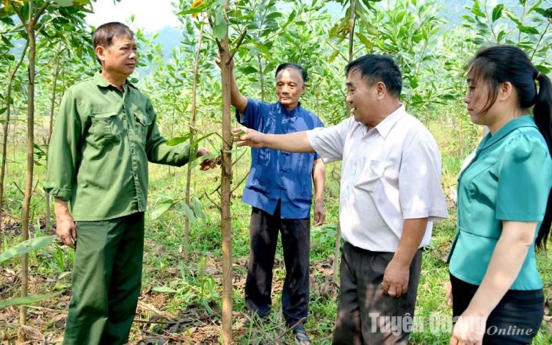 Chi trả dịch vụ môi trường rừng, khoán bảo vệ rừng trước Tết Nguyên đán