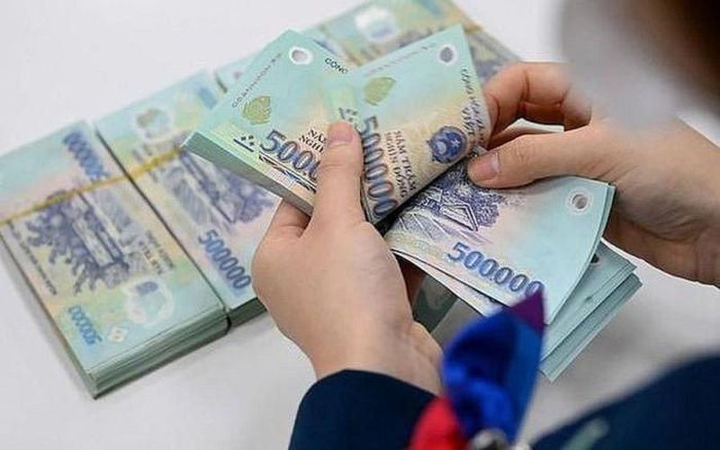 Chính phủ sửa quy định về tiền lương trong công ty trách nhiệm hữu hạn một thành viên