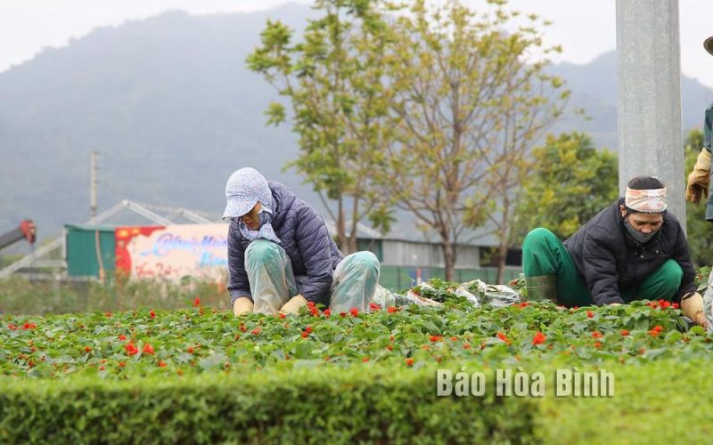 Chỉnh trang đô thị đón chào Xuân Giáp Thìn