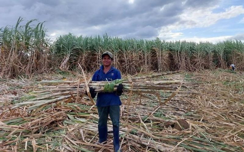 Công ty cổ phần Nông nghiệp Agris Gia Lai: Đảm bảo hài hòa lợi ích giữa Doanh nghiệp và nông dân