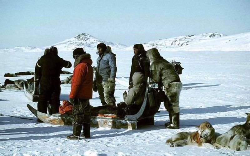 Cuộc sống ít người biết ở nơi có nhiệt độ thấp - 30 đến - 40 độ