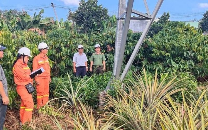 Đảm bảo an toàn lưới điện truyền tải trên địa bàn tỉnh Đắk Nông trước Tết