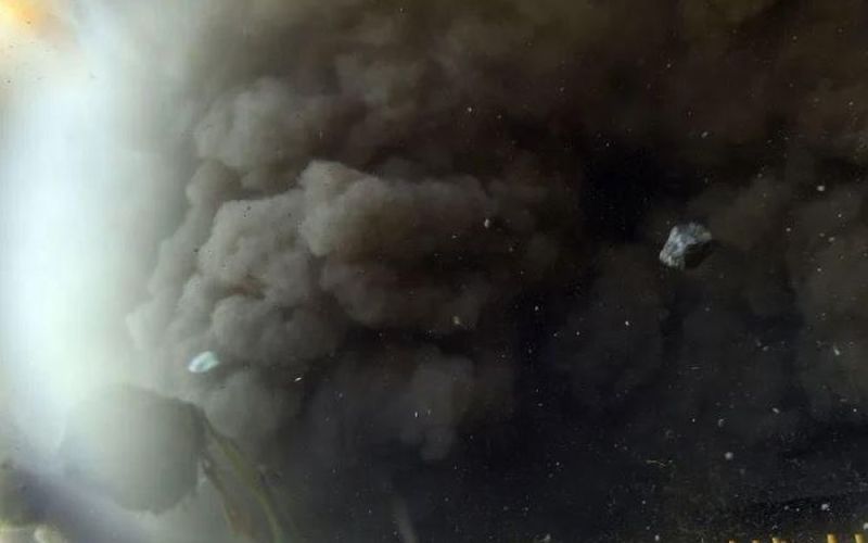 Đằng sau việc Elon Musk tuyên bố 'đóng góp cho môi trường nhiều hơn bất kỳ người nào khác'