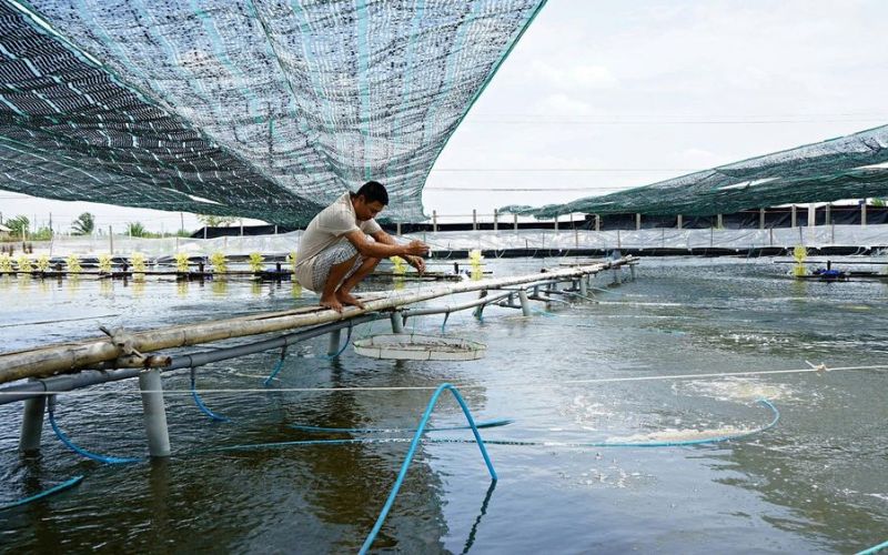 Đẩy mạnh triển khai công nghệ số vào sản xuất nông nghiệp