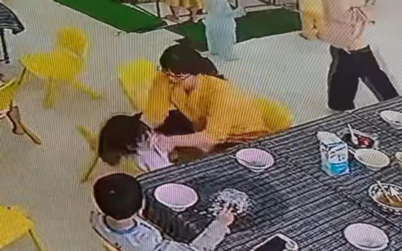 Điều tra vụ cô giáo bị tố bạo hành bé gái 3 tuổi ở Bình Định