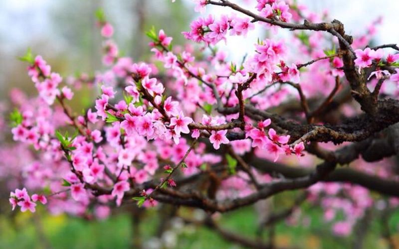 Đọc gì trên giai phẩm Đầu tư Tài chính Xuân Giáp Thìn?