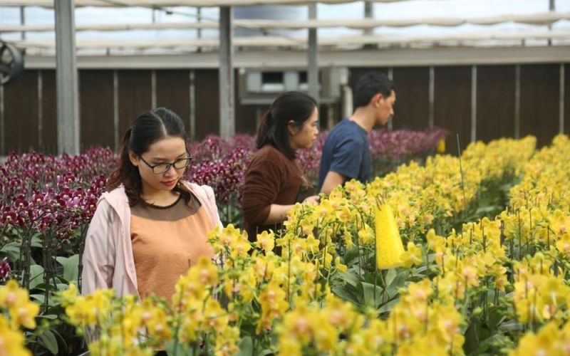 Động lực phát triển Thủ đô
