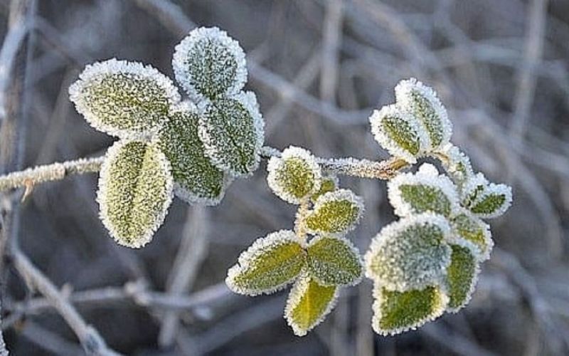 Dự báo thời tiết ngày 18/1/2024: Miền Bắc sắp có rét đậm, băng giá