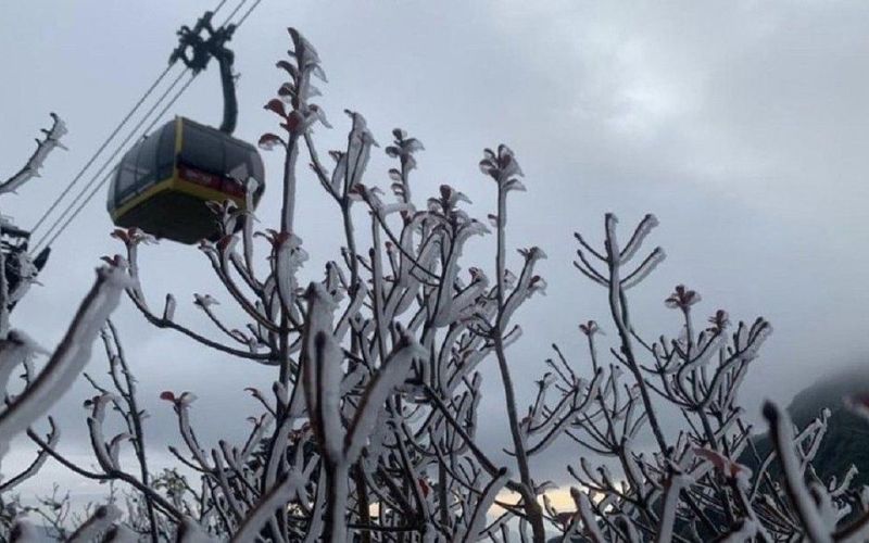 Dự báo thời tiết ngày 23/1/2024: Nhiệt độ hạ rất thấp, có nơi dưới 0 độ