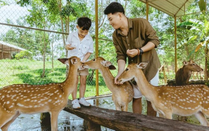Du xuân khám phá Yang Bay
