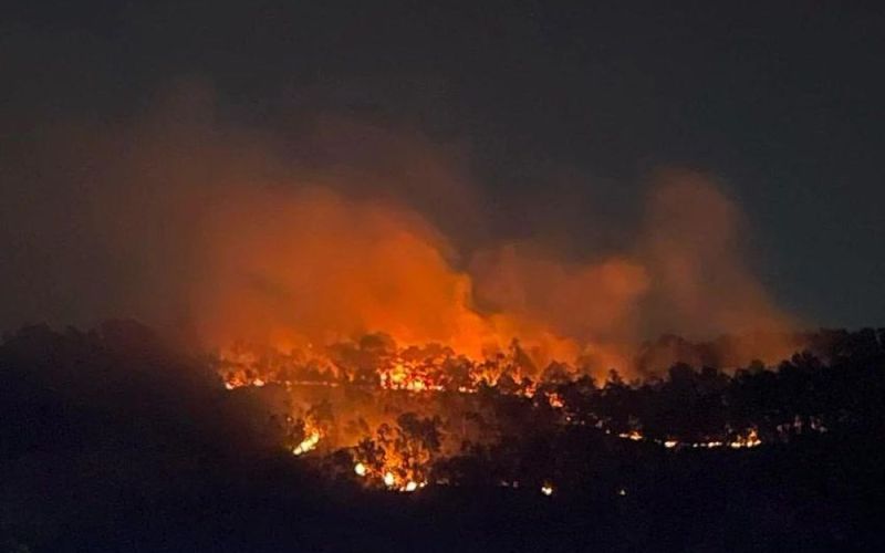 Gần 200 người được huy động khống chế đám cháy rừng ở Hải Phòng