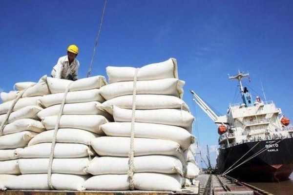 Giá gạo Việt Nam xuất khẩu giảm mạnh, không còn cao nhất thế giới