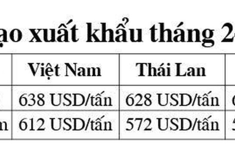 Giá gạo xuất khẩu tiếp tục tăng