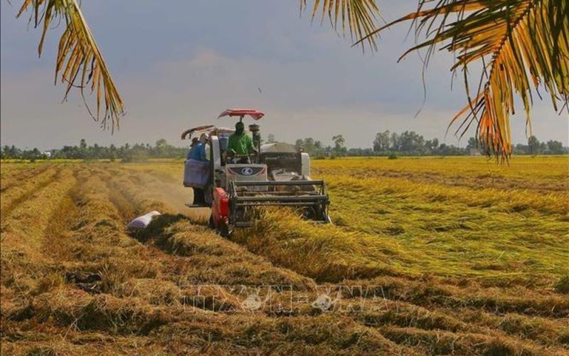 GRDP của Hậu Giang dẫn đầu khu vực ĐBS Cửu Long và xếp thứ 2 cả nước