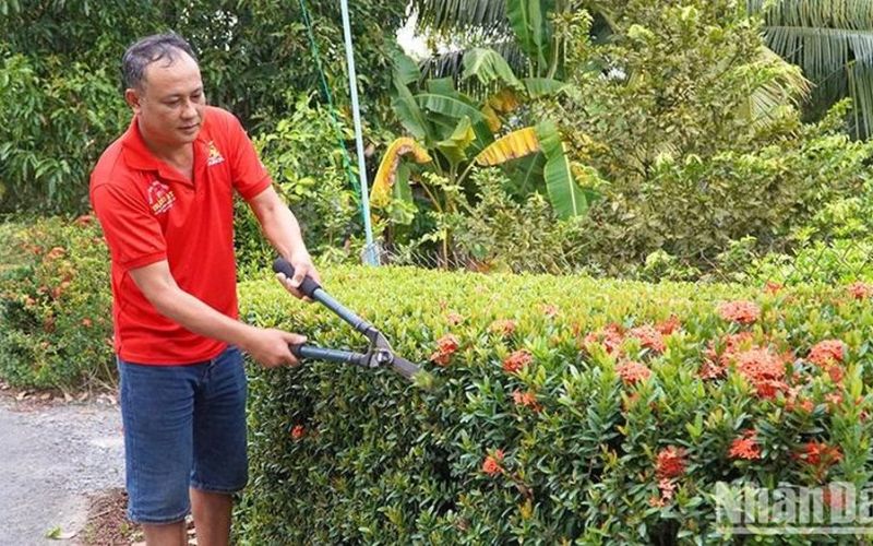 Hiệu quả xây dựng cảnh quan môi trường nông thôn ở Mỹ Đông