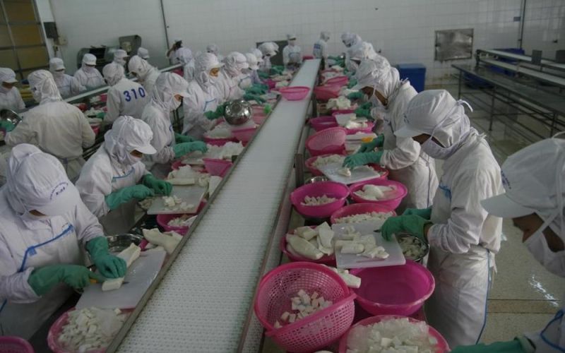 Hướng đến giao thương bền vững