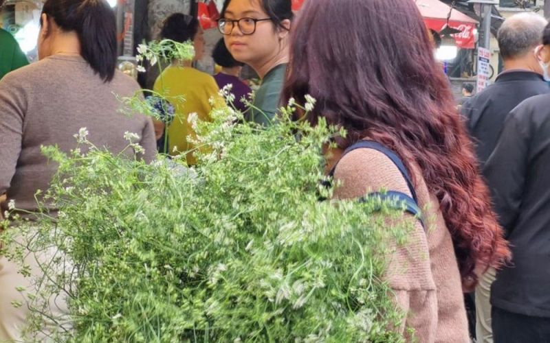 Hương mùi già chiều cuối năm