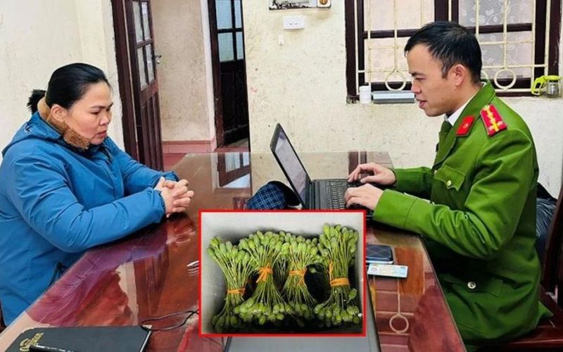 Khởi tố 1 phụ nữ mua bán thuốc phiện tươi số lượng lớn
