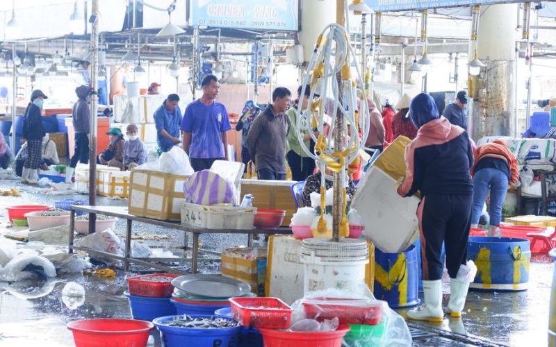 La liệt hải sản, nhộn nhịp mua bán ở cảng cá lớn nhất miền Trung