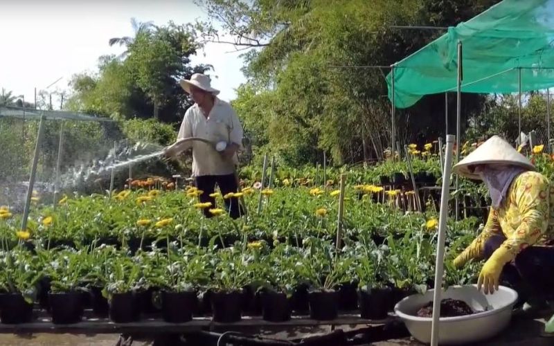 Lấn đầu tiên tổ chức Festival hoa - kiểng Sa Ðéc