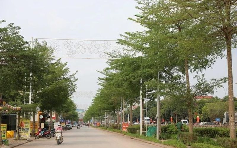 Lạng Giang xây dựng đô thị xanh, nông nghiệp sinh thái