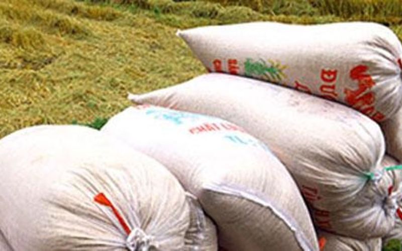 Lừa đảo chiếm đoạt tiền đặt cọc mua bán lúa