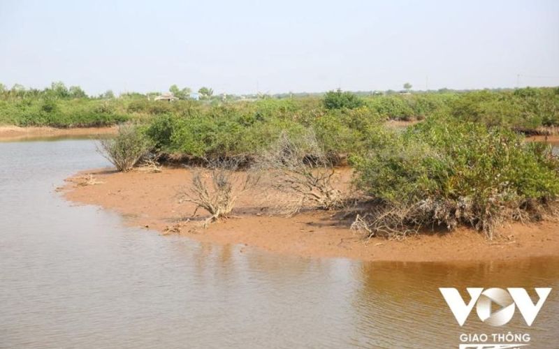 Môi trường ra sao nếu xây khách sạn và bungalow trong Vườn quốc gia Tam Đảo?