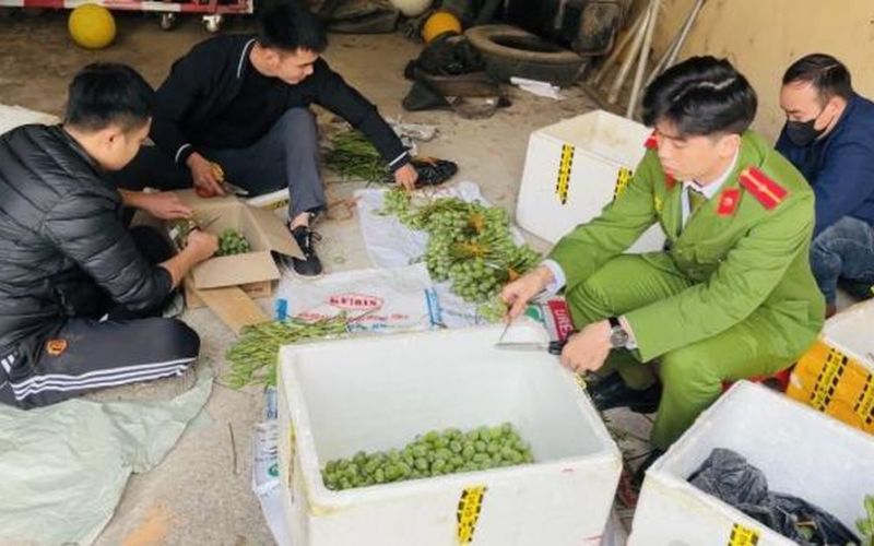 Mua bán gần 50 kg cành, quả cây anh túc tươi, một người bị khởi tố