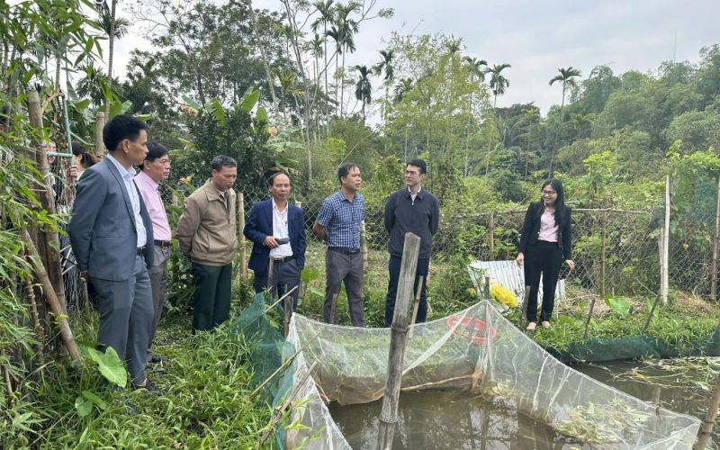 Nghệ An tập trung giải ngân chương trình cho vay theo Nghị quyết số 11 của Chính phủ