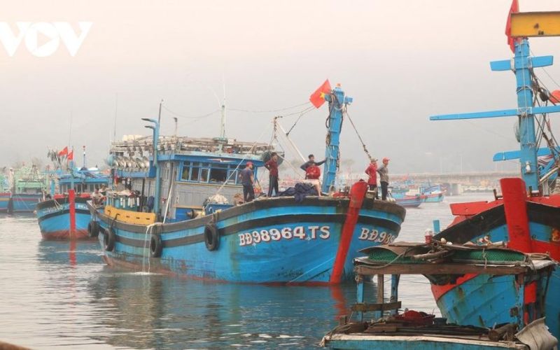 Ngư dân rộn ràng cập bờ đón Tết