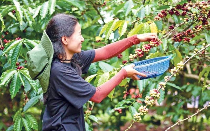 Người trẻ trở về