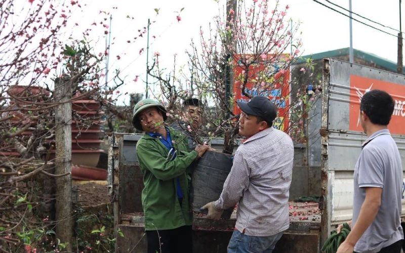 Những công việc 'hái ra tiền' sau Tết Nguyên đán