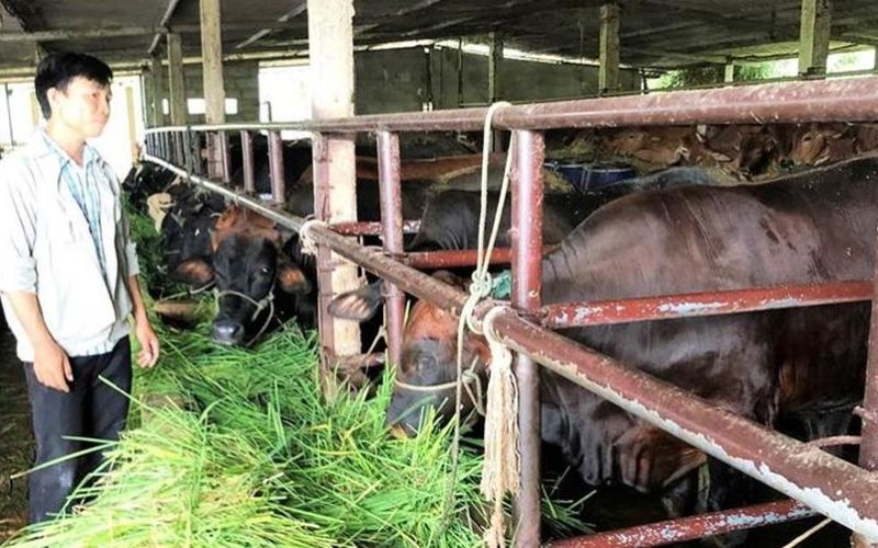 Nông dân xây dựng nông thôn mới, đô thị văn minh